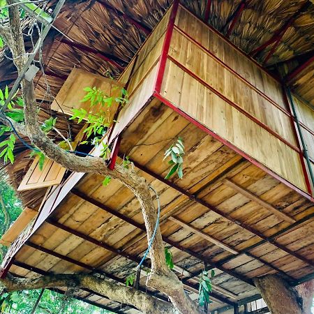 Hotel Muong Retreat- Nghi Duong Xanh Trong Bao Tang Van Hoa Nghe Thuat,Hòa Bình Exterior foto